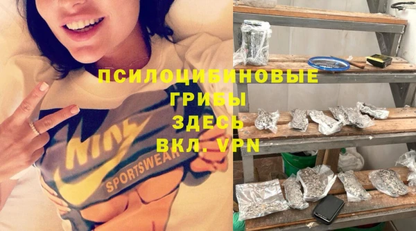 прущая мука Алзамай